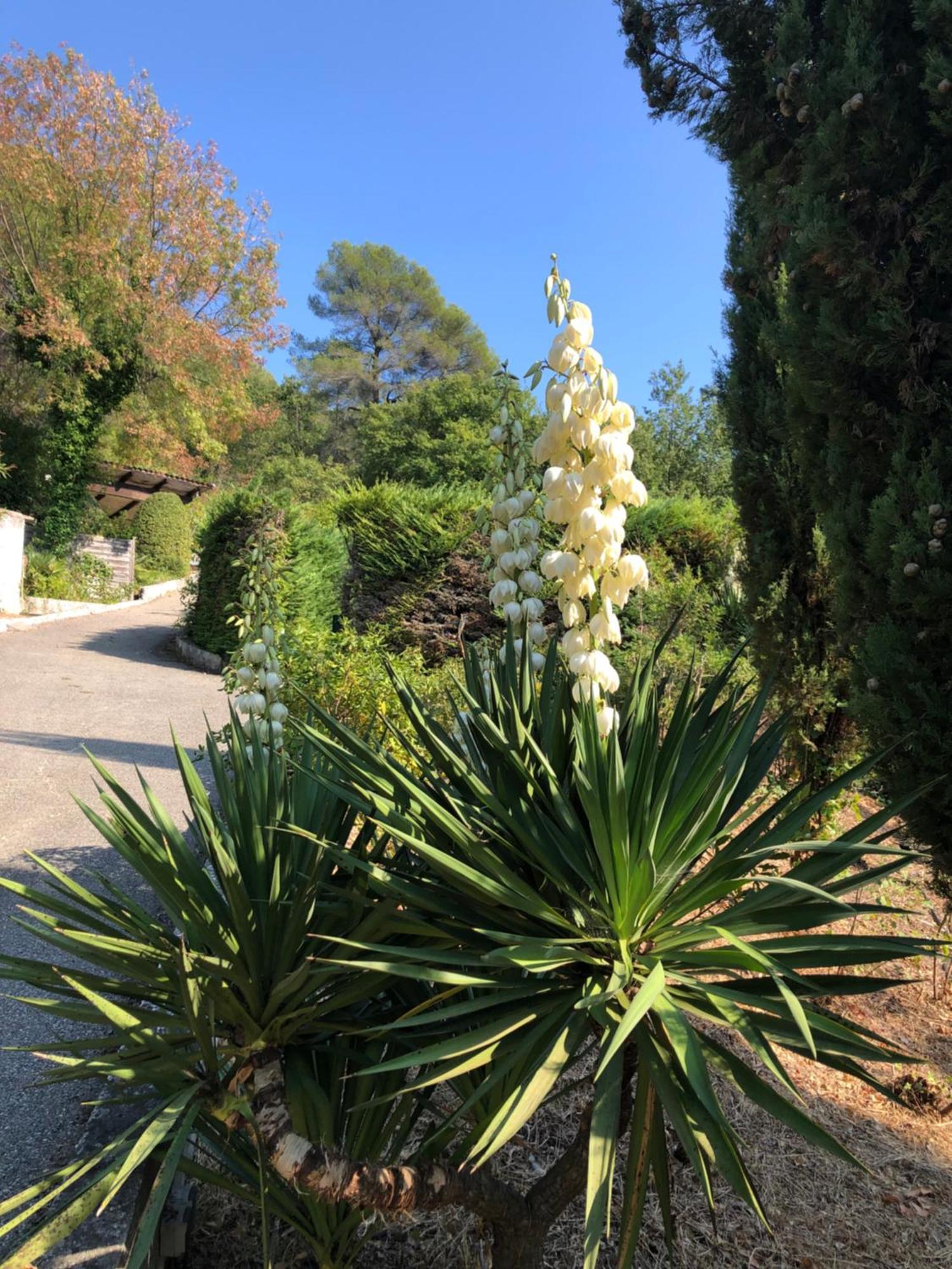 Hébergement de vacances Domaine Double D *